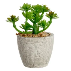 6 Pack Artificial Succulents, 2.7 To 4 Inches Green And Red Cactus Plants With Gray Pots 12 6 Pack Artificial Succulents, 2.7 To 4 Inches Green And Red Cactus Plants With Gray Pots -Home Furnishing Store GUEST 0220e648 6ce5 4ffd 8da6 92ff95010f28