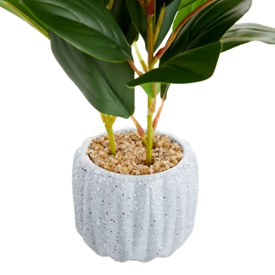 Juvale Artificial Plants In Pot, Fake Faux Plants With Gray Cement Planter, 3.1 X 3.1 X 11.8 In 5 Juvale Artificial Plants In Pot, Fake Faux Plants With Gray Cement Planter, 3.1 X 3.1 X 11.8 In - Image 5