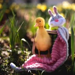 HABA Cuddly Bunny Hops Snuggly Lovey Baby Blankie -Home Furnishing Store GUEST 0616dea2 9521 4b1f 9c01 1d3bd573920c