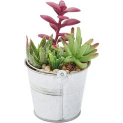 Juvale 4 Pack Artificial Succulents Plants, Faux Fake Cactus With Iron Bucket For Garden & Patio Decor, 6.5 In 6 Juvale 4 Pack Artificial Succulents Plants, Faux Fake Cactus With Iron Bucket For Garden & Patio Decor, 6.5 In -Home Furnishing Store GUEST 0d0bc3db af74 41e3 b87b 7872eb8d407c