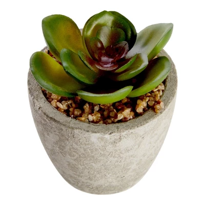 6 Pack Artificial Succulents, 2.7 To 4 Inches Green And Red Cactus Plants With Gray Pots 5 6 Pack Artificial Succulents, 2.7 To 4 Inches Green And Red Cactus Plants With Gray Pots - Image 5