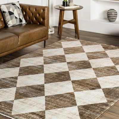 Meline Checkered Fringe Area Rug 8 Meline Checkered Fringe Area Rug - Image 8