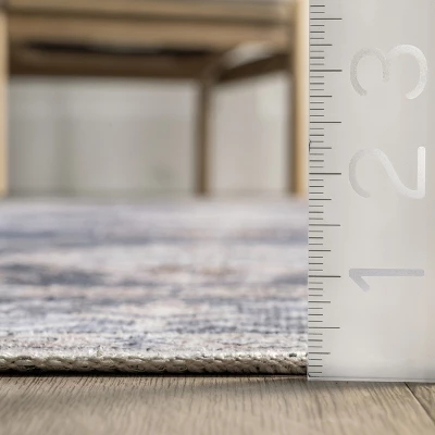 NuLOOM Finley Machine Washable Vintage Distressed Area Rug 2 NuLOOM Finley Machine Washable Vintage Distressed Area Rug - Image 2