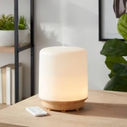 300ml Frosted Cylinder Form Diffuser With Remote - Project 62™