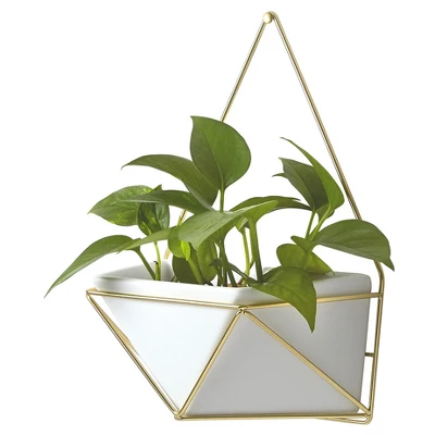 Succulent Wall Geometric Hanging White/Gold - Project 62™ 3 Succulent Wall Geometric Hanging White/Gold - Project 62™ - Image 3