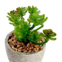 6 Pack Artificial Succulents, 2.7 To 4 Inches Green And Red Cactus Plants With Gray Pots 9 6 Pack Artificial Succulents, 2.7 To 4 Inches Green And Red Cactus Plants With Gray Pots -Home Furnishing Store GUEST 2dfacf1a e850 4931 9380 487fa7258c08
