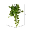 Vickerman Artificial Pothos Hanging Bush