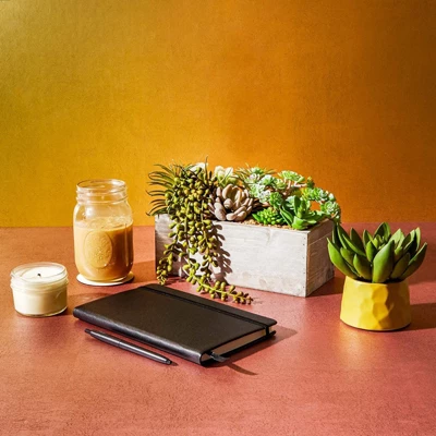 Juvale Artificial Mixed Succulent Faux Fake Cactus Plants In Rectangular Wooden Planter Box 9 X 4 In. 1 Juvale Artificial Mixed Succulent Faux Fake Cactus Plants In Rectangular Wooden Planter Box 9 X 4 In.