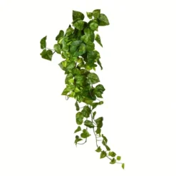 Vickerman Artificial Pothos Hanging Bush 13 Vickerman Artificial Pothos Hanging Bush -Home Furnishing Store GUEST 428d1568 dfaa 4225 9dec b8ca2fbe7fcf