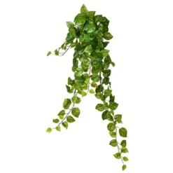 Vickerman Artificial Pothos Hanging Bush 12 Vickerman Artificial Pothos Hanging Bush -Home Furnishing Store GUEST 42e208fd 629f 4204 8e4c 224f77948603