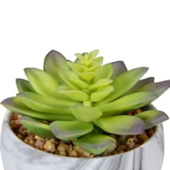 Northlight 4" Green And Purple Artificial Succulent In Faux Marble Pot -Home Furnishing Store GUEST 4820c60a 3b83 45a4 9615 b791302cd47a