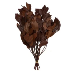 Vickerman 16-22" Natural Botanicals Salal Foliage Bunch -Home Furnishing Store GUEST 4d85b433 0585 41bb 9d81 501bec5b4f91