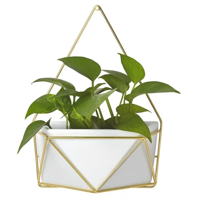 Succulent Wall Geometric Hanging White/Gold - Project 62™ 2 Succulent Wall Geometric Hanging White/Gold - Project 62™ - Image 2