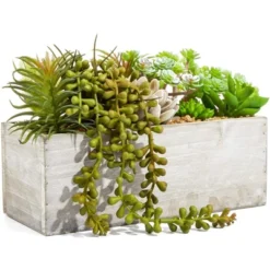 Juvale Artificial Mixed Succulent Faux Fake Cactus Plants In Rectangular Wooden Planter Box 9 X 4 In. 9 Juvale Artificial Mixed Succulent Faux Fake Cactus Plants In Rectangular Wooden Planter Box 9 X 4 In. -Home Furnishing Store GUEST 5b60376b 3ce3 4f14 b08e bf737df27362