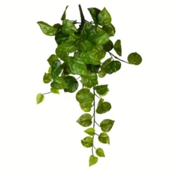 Vickerman Artificial Pothos Hanging Bush 10 Vickerman Artificial Pothos Hanging Bush -Home Furnishing Store GUEST 5eac1a65 497b 4362 a576 158fd9c78bef