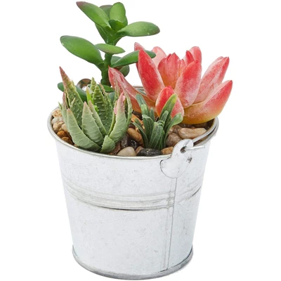 Juvale 4 Pack Artificial Succulents Plants, Faux Fake Cactus With Iron Bucket For Garden & Patio Decor, 6.5 In 2 Juvale 4 Pack Artificial Succulents Plants, Faux Fake Cactus With Iron Bucket For Garden & Patio Decor, 6.5 In - Image 2