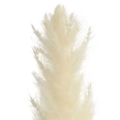Juvale 30 Pack Dried White Pampas Grass For Vase, Wedding, Rustic-Style Farmhouse Decor, Boho-Themed Home Decor, 17 In -Home Furnishing Store GUEST 69582c3a 7b6a 446a bae2 59055350d271