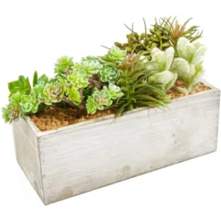 Juvale Artificial Mixed Succulent Faux Fake Cactus Plants In Rectangular Wooden Planter Box 9 X 4 In. 7 Juvale Artificial Mixed Succulent Faux Fake Cactus Plants In Rectangular Wooden Planter Box 9 X 4 In. -Home Furnishing Store GUEST 6ebd7366 07b8 4edf bd75 a0fdd756f8a7