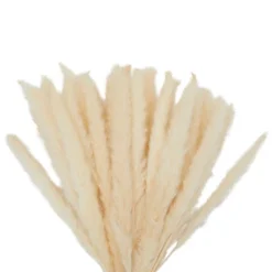 Juvale 30 Pack Dried White Pampas Grass For Vase, Wedding, Rustic-Style Farmhouse Decor, Boho-Themed Home Decor, 17 In -Home Furnishing Store GUEST 7079560a 01f3 455d 9b9e a623a5bda908