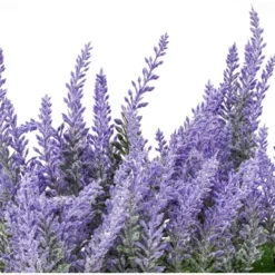 Artificial Lavender Fake Flower Plant In Rustic Pot Wooden Box For Decorations -Home Furnishing Store GUEST 70871229 905f 4481 9633 b139f1dfbc2b