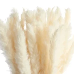 Juvale 30 Pack Dried White Pampas Grass For Vase, Wedding, Rustic-Style Farmhouse Decor, Boho-Themed Home Decor, 17 In -Home Furnishing Store GUEST 7798a23e bf91 4400 ad81 59c69813a7ee