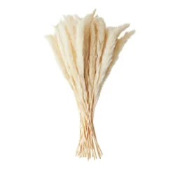 Farmlyn Creek 40 Pack Ivory Natural Dried Pampas Grass Branches With White Ceramic Vase, Plants For Home Decor, 16 In -Home Furnishing Store GUEST 88e20c93 8e20 4637 b508 bc58d86c4771
