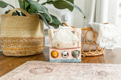 Tickle And Main Noahs Ark 5-Piece Baby Bath Toy Set 1 Tickle And Main Noahs Ark 5-Piece Baby Bath Toy Set