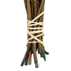 Vickerman 16-22" Natural Botanicals Salal Foliage Bunch -Home Furnishing Store GUEST 8b71c7e4 3ca1 4150 9fcb 5c757b8087af