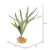 Vickerman Artificial Staghorn Fern