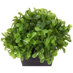 Juvale 3 Pack Mini Artificial Potted Fake Plants For Home Decor, Indoor Small Faux Topiaries For Room, Office Desk, Bathroom Greenery Decorations 15 Juvale 3 Pack Mini Artificial Potted Fake Plants For Home Decor, Indoor Small Faux Topiaries For Room, Office Desk, Bathroom Greenery Decorations -Home Furnishing Store GUEST a0e7397d 747c 40d4 b586 fbbcad456126