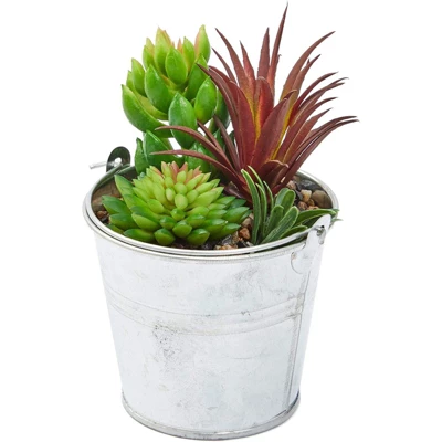 Juvale 4 Pack Artificial Succulents Plants, Faux Fake Cactus With Iron Bucket For Garden & Patio Decor, 6.5 In 1 Juvale 4 Pack Artificial Succulents Plants, Faux Fake Cactus With Iron Bucket For Garden & Patio Decor, 6.5 In