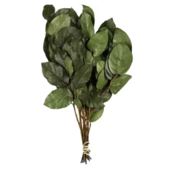 Vickerman 16-22" Natural Botanicals Salal Foliage Bunch -Home Furnishing Store GUEST b5badf85 bc05 442e 8452 6b7162ed4f49