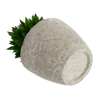 6 Pack Artificial Succulents, 2.7 To 4 Inches Green And Red Cactus Plants With Gray Pots 4 6 Pack Artificial Succulents, 2.7 To 4 Inches Green And Red Cactus Plants With Gray Pots - Image 4