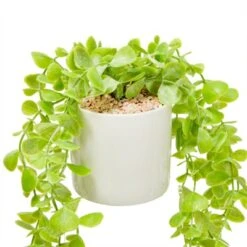 Juvale 2 Pack Hanging Artificial Faux Eucalyptus, Fake Plants With Ceramic Pots For Spring Home Decor, House Warming Gift, 31 In -Home Furnishing Store GUEST be1ed7ba 59d4 4b79 9f62 89c76815a123