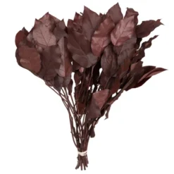 Vickerman 16-22" Natural Botanicals Salal Foliage Bunch -Home Furnishing Store GUEST c6d21383 b3c0 4b4a a732 23a5260a8660