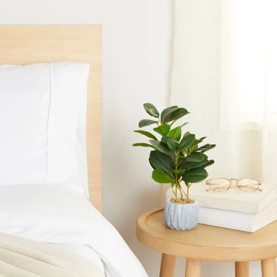 Juvale Artificial Plants In Pot, Fake Faux Plants With Gray Cement Planter, 3.1 X 3.1 X 11.8 In 2 Juvale Artificial Plants In Pot, Fake Faux Plants With Gray Cement Planter, 3.1 X 3.1 X 11.8 In - Image 2