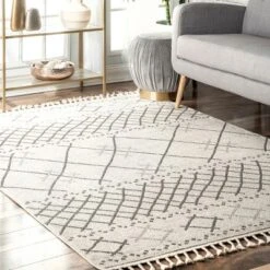 NuLOOM Alara Modern Trellis Tassel Area Rug