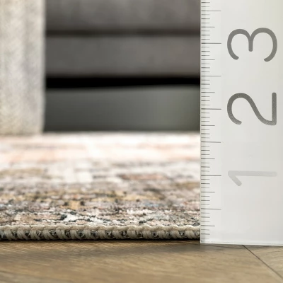 NuLOOM Gracie Distressed Medallion Machine Washable Area Rug 2 NuLOOM Gracie Distressed Medallion Machine Washable Area Rug - Image 2