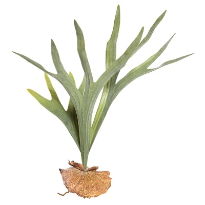 Vickerman Artificial Staghorn Fern 3 Vickerman Artificial Staghorn Fern - Image 3