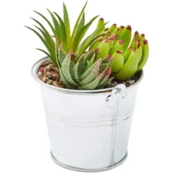 Juvale 4 Pack Artificial Succulents Plants, Faux Fake Cactus With Iron Bucket For Garden & Patio Decor, 6.5 In 7 Juvale 4 Pack Artificial Succulents Plants, Faux Fake Cactus With Iron Bucket For Garden & Patio Decor, 6.5 In -Home Furnishing Store GUEST f598d0ca d348 4b3e b8a5 52e1ced36205