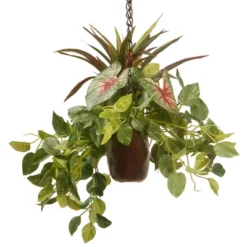 National Tree Company 9" Assorted Greens Hanging Basket -Home Furnishing Store GUEST fb87e2c9 b27f 4df2 abdb c60b7c7ff8c9